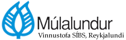 Múlalundur